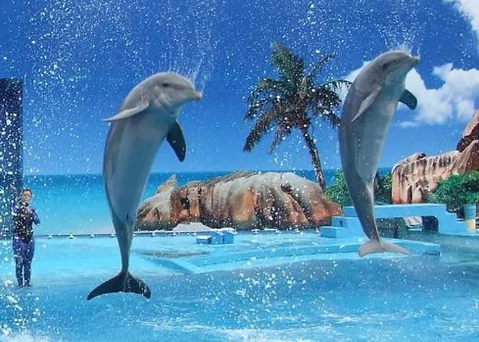 Appartamento Deluxe H Albufeira