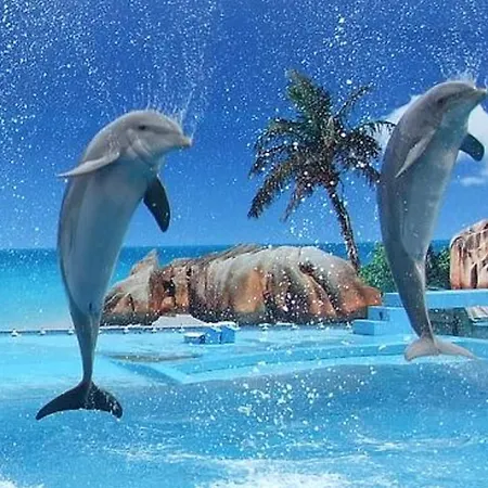 דירה Deluxe H אלבופיירה